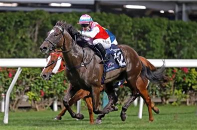 英国骑师杜苑欣来港客串7周！