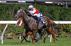 英国骑师杜苑欣来港客串7周！