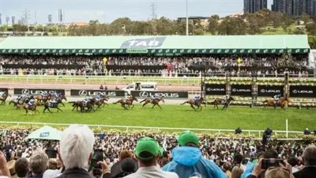 身价30.5万的赛驹，如何赢得925万巨奖？！