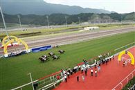 重磅!从化常规赛日程敲定,首场比赛将于2026年10月31日开跑