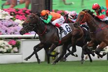 “金枪六十”退役后，马主陈家梁再拉头马！