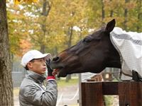 何泽尧再赴日本探望“金枪六十”，人马相望尽显深情