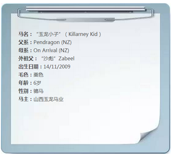 15.png