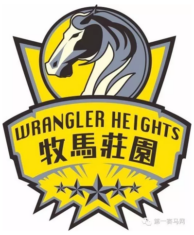 8.png