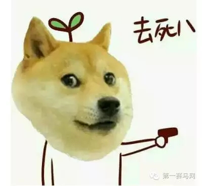 1.webp.jpg