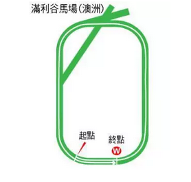 5.png