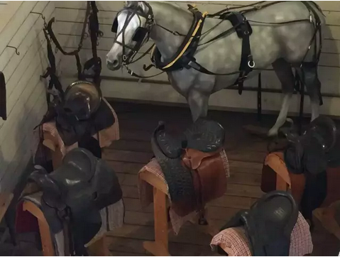 16.png