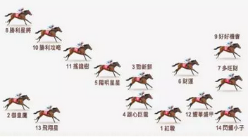 8.png