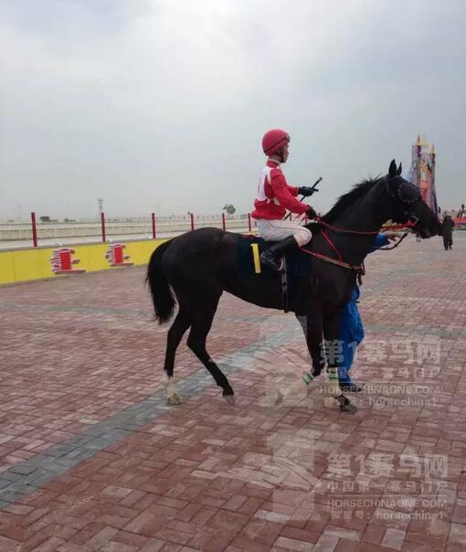 QQ截图20161217225135.jpg