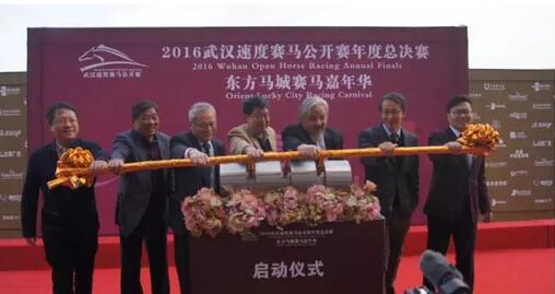 QQ截图20161217224723.jpg