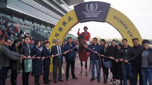QQ截图20161217224816.jpg