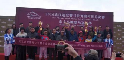 QQ截图20161217224823.jpg