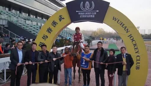 QQ截图20161217224934.jpg