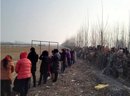 QQ截图20161217224453.jpg