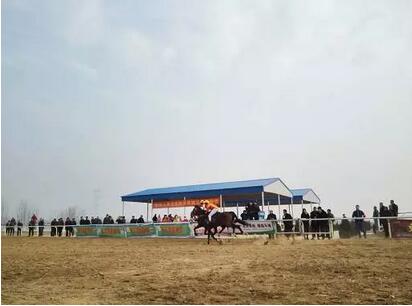 QQ截图20161217224535.jpg
