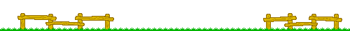 10.gif