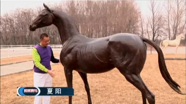 QQ截图20161227205218.jpg
