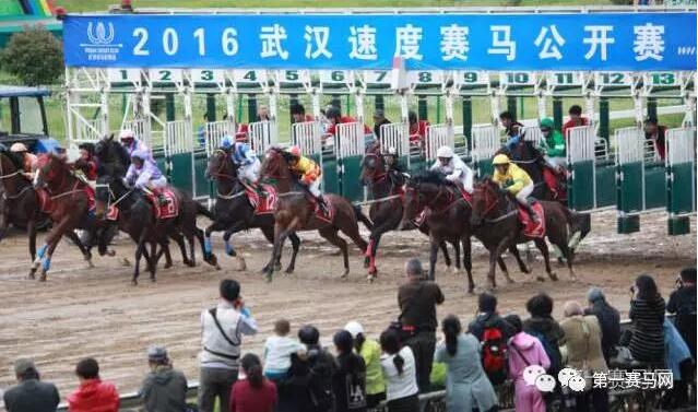 QQ截图20161227203839.jpg QQ截图20161227203839.jpg