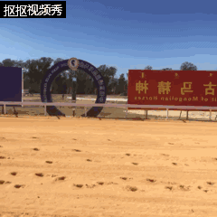 2.gif