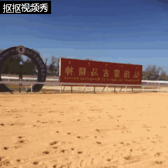 6.gif