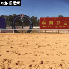 10.gif