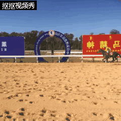18.gif
