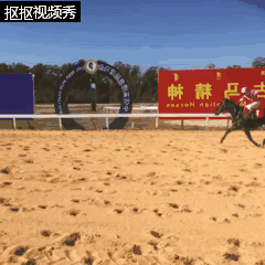 14.gif