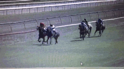 1.gif