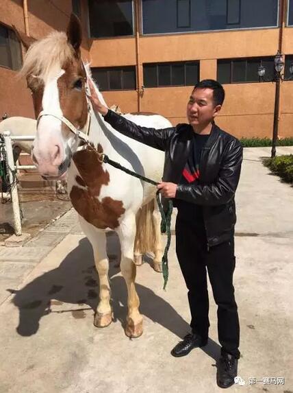 QQ截图20170307183817.jpg