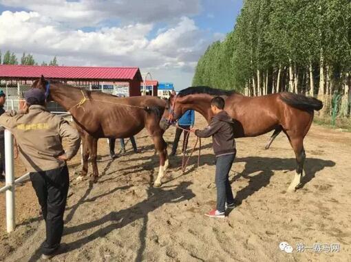 QQ截图20170314213824.jpg