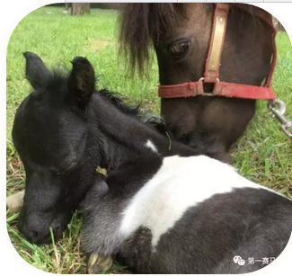 QQ截图20170514204441.png