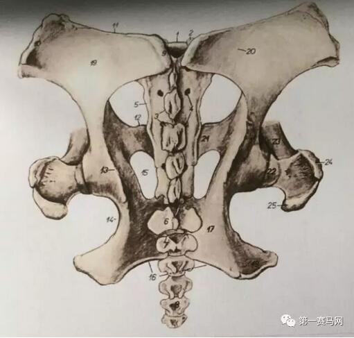 QQ截图20170516213833.jpg