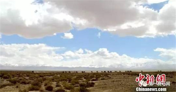 15.jpg