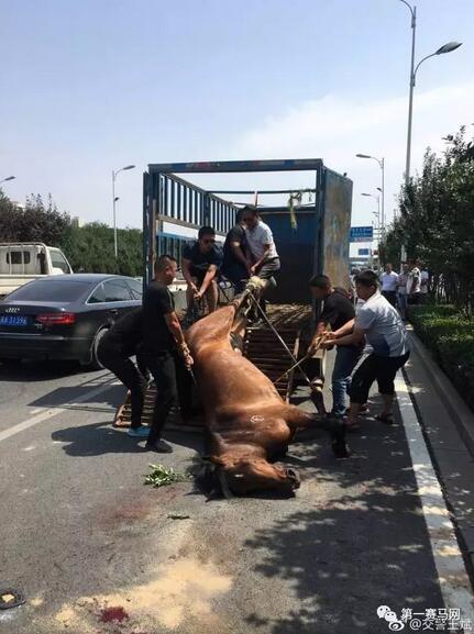 QQ截图20170606223006.jpg QQ截图20170606223006.jpg