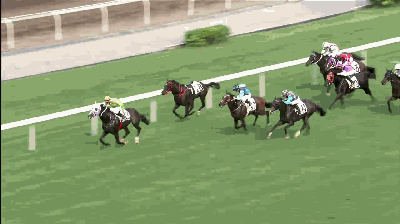 【第九场】3百米冲刺图.gif
