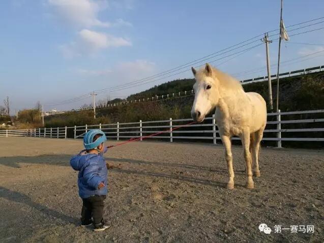 QQ截图20170613193234.jpg