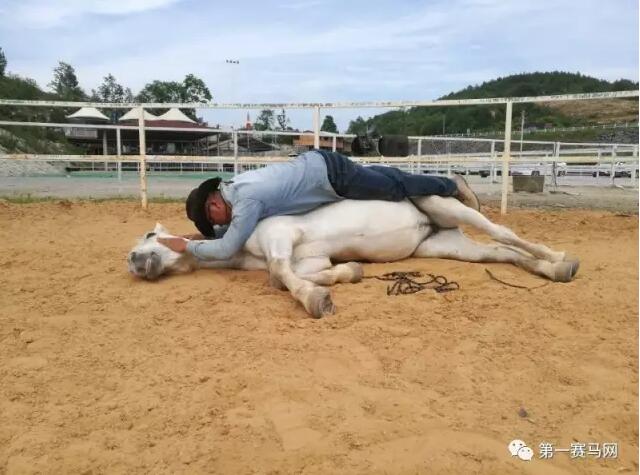 QQ截图20170613193243.jpg