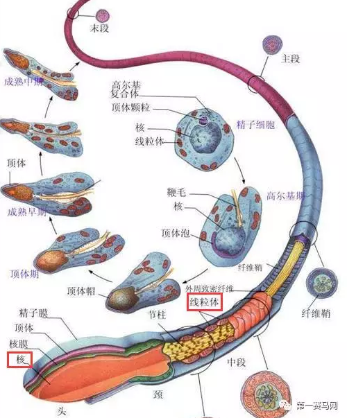 1497708369(1).png