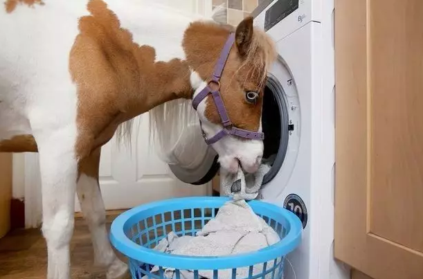 微信截图_20170718202934.png