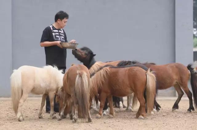 微信图片_20170718202731.jpg