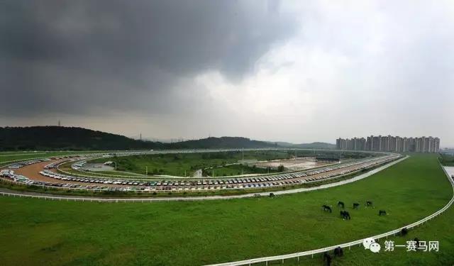 微信图片_20170826191132.jpg