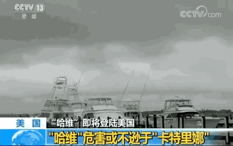 4.1.gif