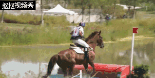 0.gif