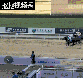 0.gif