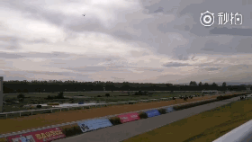 4天鹿_clip.gif