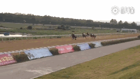 5 雁春飘香_clip.gif