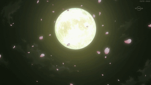 img-006ozQKIly1fk5wcsddqag30dw07tx64.gif