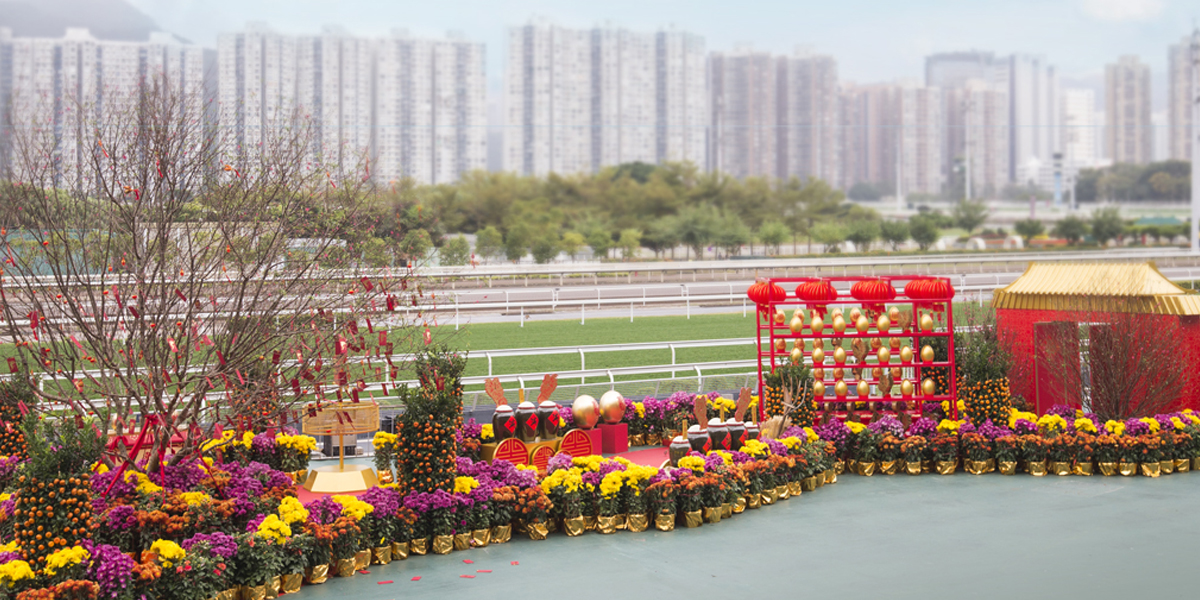feng_shui_avenue_01a.jpg
