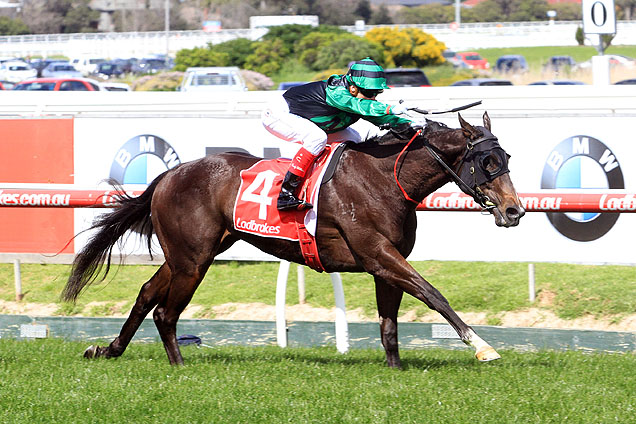 Horse-Super_Cash-101035-636x424.jpg