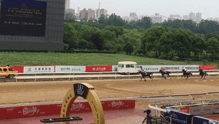 微信图片_20180514095822.gif